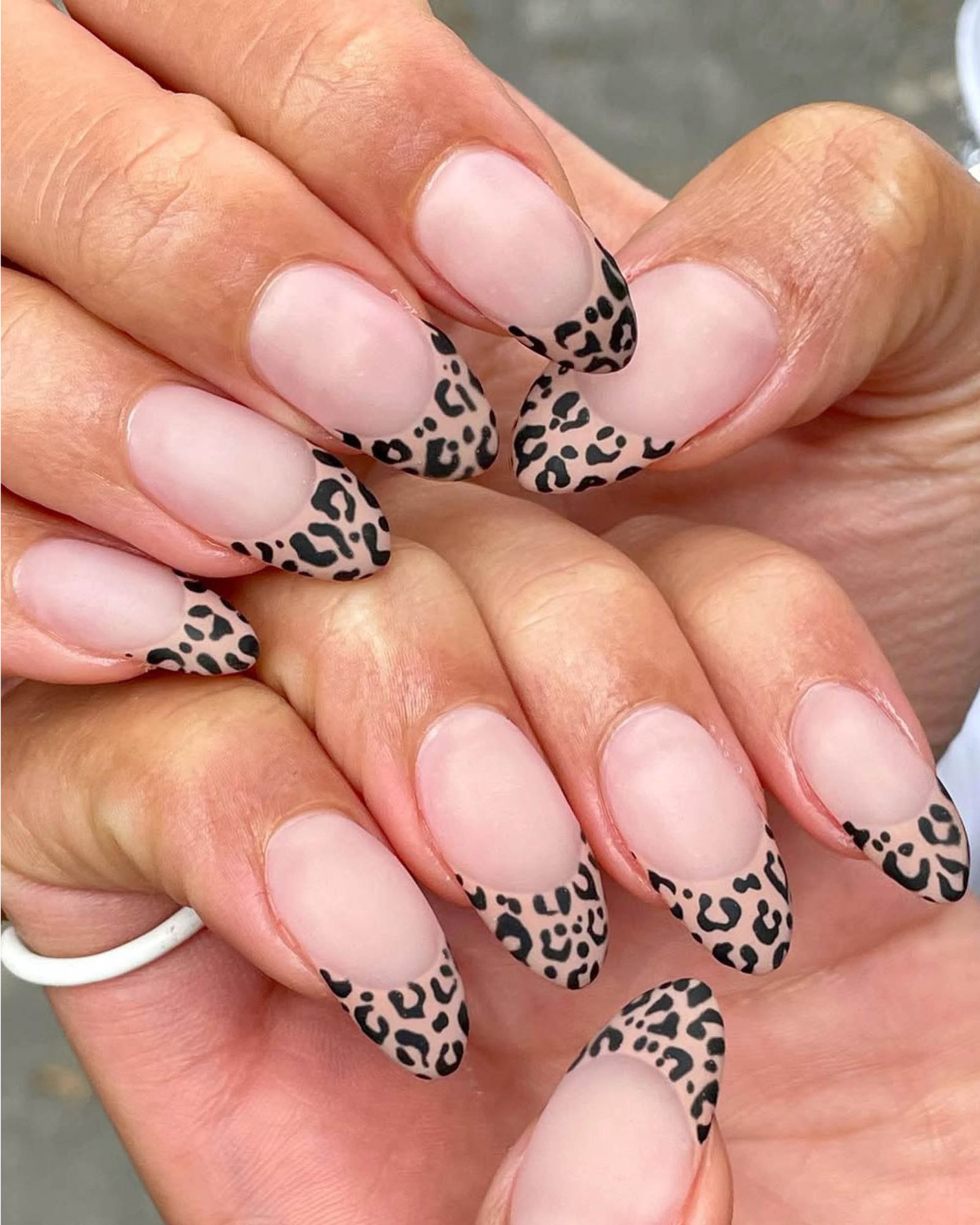 Matte cheetah print French tip almondshaped nails.